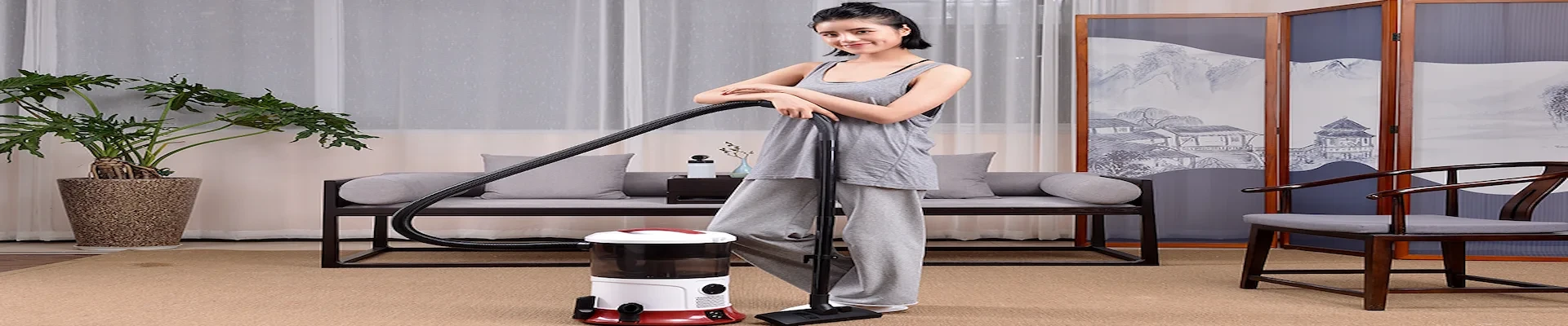 Wet Dry vacuum cleaner OEM series — Houseclean Electric factory Suzhou